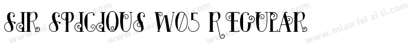 Sir Spicious W05 Regular字体转换